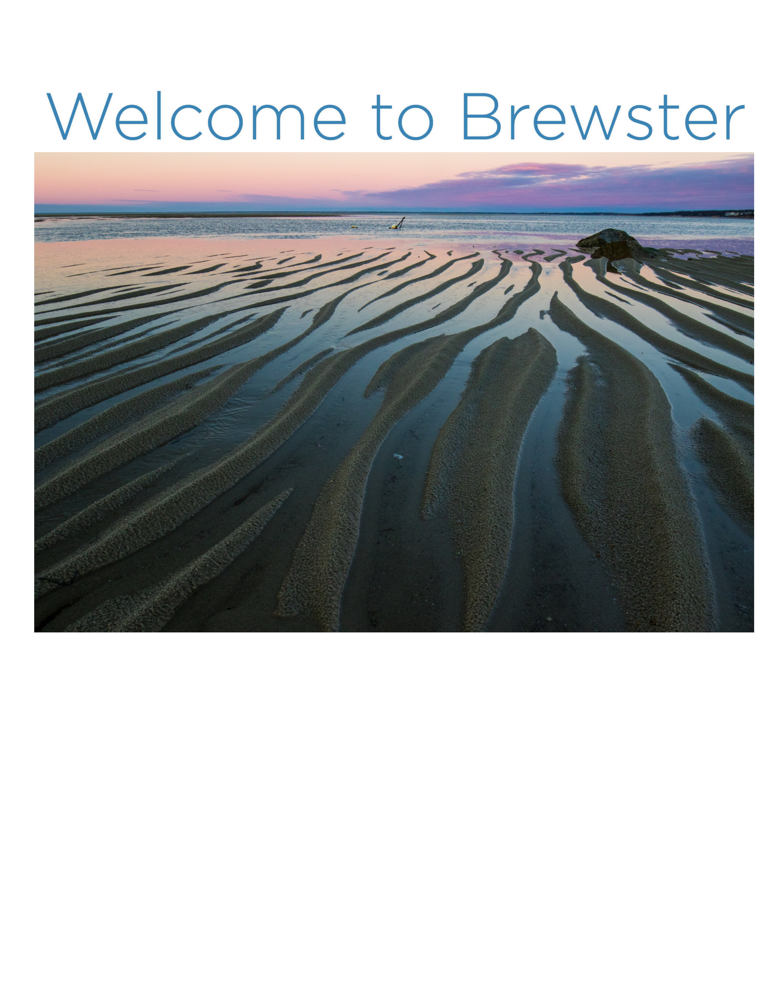 Brewster (1/11)